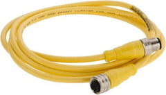 Brad Harrison - Female to Male Cordset Sensor and Receptacle - 250 VAC/VDC, 2m Cable Length, IP68 Ingress Rating - Apex Tool & Supply