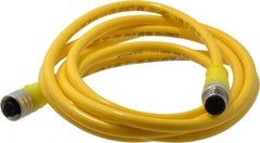 Brad Harrison - Female to Male Cordset Sensor and Receptacle - 250 VAC/VDC, 2m Cable Length, IP68 Ingress Rating - Apex Tool & Supply