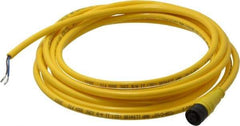 Brad Harrison - Female Straight Cordset Sensor and Receptacle - 250 VAC/VDC, 12 Ft. Long Cable, IP68 Ingress Rating - Apex Tool & Supply