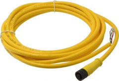 Brad Harrison - 4 Amp, 1/2-20 UNF Female Straight to Pigtail Cordset Sensor and Receptacle - 250 VAC/VDC, 3.66m Cable Length, IP67 Ingress Rating - Apex Tool & Supply