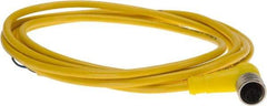 Brad Harrison - 4 Amp, M12 Female 90° to Pigtail Cordset Sensor and Receptacle - 250 VAC/VDC, 2m Cable Length, IP67 Ingress Rating - Apex Tool & Supply