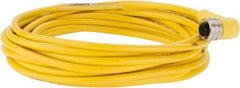 Brad Harrison - 4 Amp, M12 Female 90° to Pigtail Cordset Sensor and Receptacle - 250 VAC/VDC, 5m Cable Length, IP67 Ingress Rating - Apex Tool & Supply