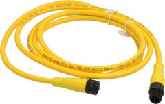 Brad Harrison - Female to Male Cordset Sensor and Receptacle - 250 VAC/VDC, 6 Ft. Long Cable, IP68 Ingress Rating - Apex Tool & Supply