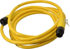 Brad Harrison - Female to Male Cordset Sensor and Receptacle - 250 VAC/VDC, 6 Ft. Long Cable, IP68 Ingress Rating - Apex Tool & Supply