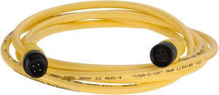 Brad Harrison - Female to Male Cordset Sensor and Receptacle - 250 VAC/VDC, 6 Ft. Long Cable, IP68 Ingress Rating - Apex Tool & Supply