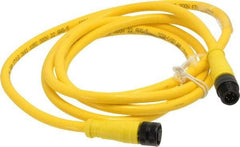 Brad Harrison - Female to Male Cordset Sensor and Receptacle - 250 VAC/VDC, 6 Ft. Long Cable, IP68 Ingress Rating - Apex Tool & Supply