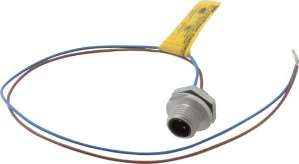 Brad Harrison - 4 Amp, 1/2-20 UNF Male Straight Receptacle - 250 VAC/VDC, 0.31m Cable Length, IP67 Ingress Rating - Apex Tool & Supply