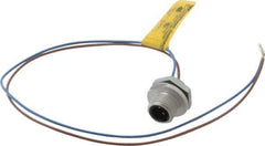 Brad Harrison - 4 Amp, 1/2-20 UNF Male Straight Receptacle - 250 VAC/VDC, 0.31m Cable Length, IP67 Ingress Rating - Apex Tool & Supply