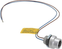 Brad Harrison - 4 Amp, 1/2-20 UNF Female Straight Receptacle - 250 VAC/VDC, 0.31m Cable Length, IP67 Ingress Rating - Apex Tool & Supply