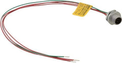 Brad Harrison - 4 Amp, 1/2-20 UNF Male Straight Receptacle - 250 VAC/VDC, 0.31m Cable Length, IP67 Ingress Rating - Apex Tool & Supply