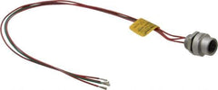 Brad Harrison - 4 Amp, 1/2-20 UNF Female Straight Receptacle - 250 VAC/VDC, 0.31m Cable Length, IP67 Ingress Rating - Apex Tool & Supply
