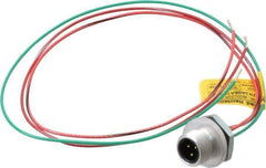 Brad Harrison - 4 Amp, 1/2-20 UNF Male Straight Receptacle - 250 VAC/VDC, 0.31m Cable Length, IP67 Ingress Rating - Apex Tool & Supply