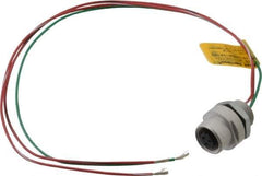 Brad Harrison - 4 Amp, 1/2-20 UNF Female Straight Receptacle - 250 VAC/VDC, 0.31m Cable Length, IP67 Ingress Rating - Apex Tool & Supply