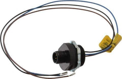 Brad Harrison - 4 Amp, M12 Male Straight Receptacle - 250 VAC/VDC, 0.31m Cable Length, IP67 Ingress Rating - Apex Tool & Supply