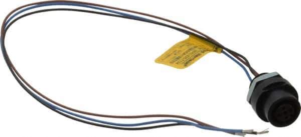 Brad Harrison - 4 Amp, M12 Female Straight Receptacle - 250 VAC/VDC, 0.31m Cable Length, IP67 Ingress Rating - Apex Tool & Supply