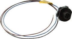 Brad Harrison - 4 Amp, M12 Male Straight Receptacle - 250 VAC/VDC, 0.31m Cable Length, IP67 Ingress Rating - Apex Tool & Supply