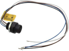 Brad Harrison - 4 Amp, M12 Female Straight Receptacle - 250 VAC/VDC, 0.31m Cable Length, IP67 Ingress Rating - Apex Tool & Supply