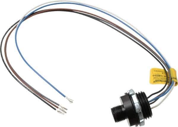 Brad Harrison - 4 Amp, M12 Male Straight Receptacle - 250 VAC/VDC, 0.31m Cable Length, IP67 Ingress Rating - Apex Tool & Supply