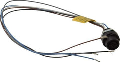 Brad Harrison - 4 Amp, M12 Female Straight Receptacle - 250 VAC/VDC, 0.31m Cable Length, IP67 Ingress Rating - Apex Tool & Supply