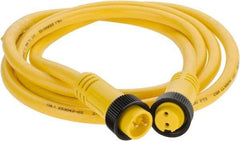 Brad Harrison - 13 Amp, Female Straight, Male Straight Cordset Sensor and Receptacle - 600 Volt, 1.83m Cable Length, IP67 Ingress Rating - Apex Tool & Supply