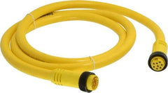 Brad Harrison - 7 Amp, Female Straight, Male Straight Cordset Sensor and Receptacle - 600 Volt, 1.83m Cable Length, IP67 Ingress Rating - Apex Tool & Supply