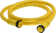 Brad Harrison - 7 Amp, Female Straight, Male Straight Cordset Sensor and Receptacle - 600 Volt, 1.83m Cable Length, IP67 Ingress Rating - Apex Tool & Supply