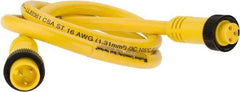 Brad Harrison - 13 Amp, Female Straight, Male Straight Cordset Sensor and Receptacle - 600 Volt, 0.91m Cable Length, IP67 Ingress Rating - Apex Tool & Supply