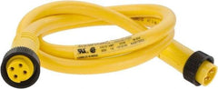 Brad Harrison - 10 Amp, Female Straight, Male Straight Cordset Sensor and Receptacle - 600 Volt, 0.91m Cable Length, IP67 Ingress Rating - Apex Tool & Supply