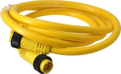 Brad Harrison - 10 Amp, Female Straight, Male Straight Cordset Sensor and Receptacle - 600 Volt, 1.83m Cable Length, IP67 Ingress Rating - Apex Tool & Supply