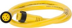Brad Harrison - 8 Amp, Female Straight, Male Straight Cordset Sensor and Receptacle - 600 Volt, 0.91m Cable Length, IP67 Ingress Rating - Apex Tool & Supply