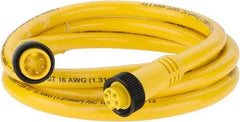 Brad Harrison - 8 Amp, Female Straight, Male Straight Cordset Sensor and Receptacle - 600 Volt, 1.83m Cable Length, IP67 Ingress Rating - Apex Tool & Supply