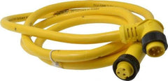 Brad Harrison - 13 Amp, Female 90° to Male 90° Cordset Sensor and Receptacle - 600 VAC/VDC, 6 Ft. Long Cable, IP68 Ingress Rating - Apex Tool & Supply