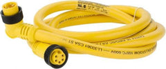 Brad Harrison - 8 Amp, Female 90° to Male 90° Cordset Sensor and Receptacle - 600 VAC/VDC, 6 Ft. Long Cable, IP68 Ingress Rating - Apex Tool & Supply