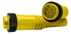 Brad Harrison - 7 Amp, Male Straight to Pigtail Cordset Sensor and Receptacle - 600 Volt, 3.66m Cable Length, IP67 Ingress Rating - Apex Tool & Supply