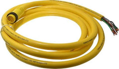 Brad Harrison - 5 Amp, Male Straight to Pigtail Cordset Sensor and Receptacle - 600 Volt, 3.66m Cable Length, IP67 Ingress Rating - Apex Tool & Supply