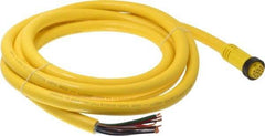 Brad Harrison - 5 Amp, Female Straight to Pigtail Cordset Sensor and Receptacle - 600 Volt, 3.66m Cable Length, IP67 Ingress Rating - Apex Tool & Supply