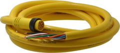 Brad Harrison - 7 Amp, Male Straight to Pigtail Cordset Sensor and Receptacle - 600 Volt, 3.66m Cable Length, IP67 Ingress Rating - Apex Tool & Supply