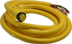 Brad Harrison - 7 Amp, Female Straight to Pigtail Cordset Sensor and Receptacle - 600 Volt, 3.66m Cable Length, IP67 Ingress Rating - Apex Tool & Supply
