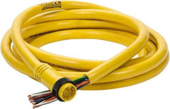 Brad Harrison - 7 Amp, Male Straight to Pigtail Cordset Sensor and Receptacle - 600 Volt, 3.66m Cable Length, IP67 Ingress Rating - Apex Tool & Supply