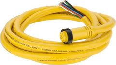 Brad Harrison - 7 Amp, Female Straight to Pigtail Cordset Sensor and Receptacle - 600 Volt, 3.66m Cable Length, IP67 Ingress Rating - Apex Tool & Supply
