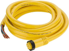 Brad Harrison - 7 Amp, Female Straight to Pigtail Cordset Sensor and Receptacle - 600 Volt, 3.66m Cable Length, IP67 Ingress Rating - Apex Tool & Supply