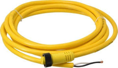 Brad Harrison - 13 Amp, Female Straight to Pigtail Cordset Sensor and Receptacle - 600 Volt, 3.66m Cable Length, IP67 Ingress Rating - Apex Tool & Supply