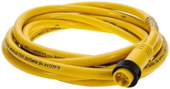 Brad Harrison - 13 Amp, Male Straight to Pigtail Cordset Sensor and Receptacle - 600 Volt, 3.66m Cable Length, IP67 Ingress Rating - Apex Tool & Supply