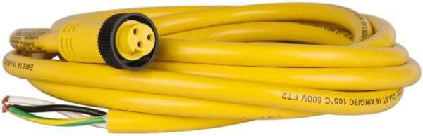 Brad Harrison - 13 Amp, Female Straight to Pigtail Cordset Sensor and Receptacle - 600 Volt, 3.66m Cable Length, IP67 Ingress Rating - Apex Tool & Supply