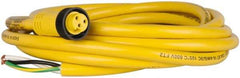 Brad Harrison - 13 Amp, Female Straight to Pigtail Cordset Sensor and Receptacle - 600 Volt, 3.66m Cable Length, IP67 Ingress Rating - Apex Tool & Supply