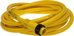 Brad Harrison - 10 Amp, Male Straight to Pigtail Cordset Sensor and Receptacle - 600 Volt, 3.66m Cable Length, IP67 Ingress Rating - Apex Tool & Supply