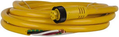 Brad Harrison - 10 Amp, Female Straight to Pigtail Cordset Sensor and Receptacle - 600 Volt, 3.66m Cable Length, IP67 Ingress Rating - Apex Tool & Supply