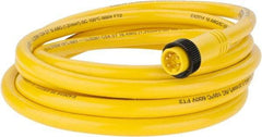 Brad Harrison - 8 Amp, Male Straight to Pigtail Cordset Sensor and Receptacle - 600 Volt, 3.66m Cable Length, IP67 Ingress Rating - Apex Tool & Supply
