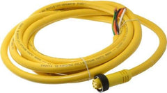 Brad Harrison - 8 Amp, Female Straight to Pigtail Cordset Sensor and Receptacle - 600 Volt, 3.66m Cable Length, IP67 Ingress Rating - Apex Tool & Supply