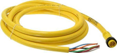 Brad Harrison - 8 Amp, Male Straight to Pigtail Cordset Sensor and Receptacle - 600 Volt, 3.66m Cable Length, IP67 Ingress Rating - Apex Tool & Supply